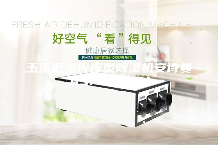 玉溪低溫冷庫型除濕機安詩曼ASM10ASM