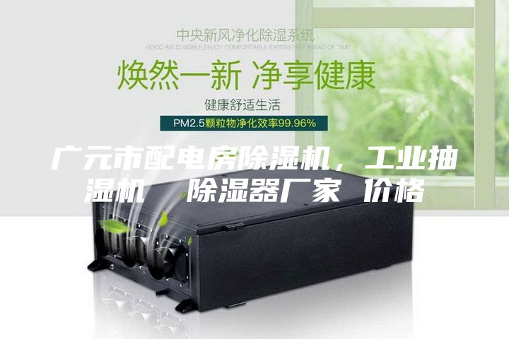 廣元市配電房除濕機，工業抽濕機  除濕器廠家 價格