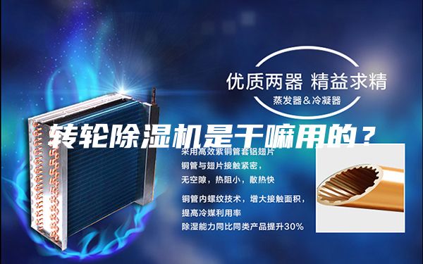 轉(zhuǎn)輪除濕機(jī)是干嘛用的?
