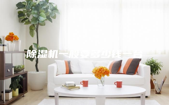 除濕機(jī)一般要多少錢一臺(tái)