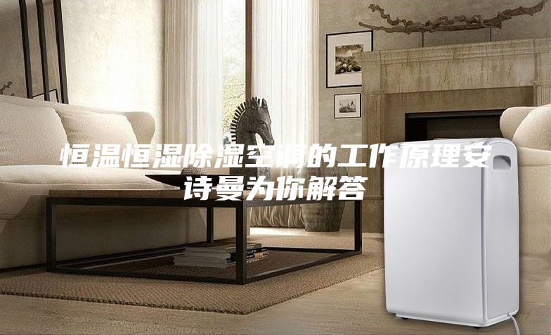 恒溫恒濕除濕空調(diào)的工作原理安詩曼為你解答