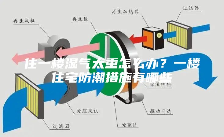 住一樓濕氣太重怎么辦？一樓住宅防潮措施有哪些