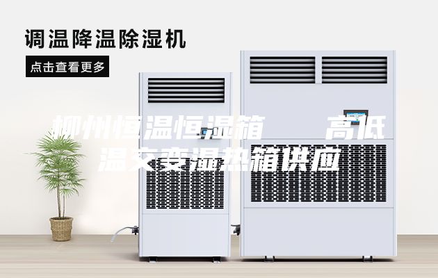 柳州恒溫恒濕箱   高低溫交變濕熱箱供應(yīng)