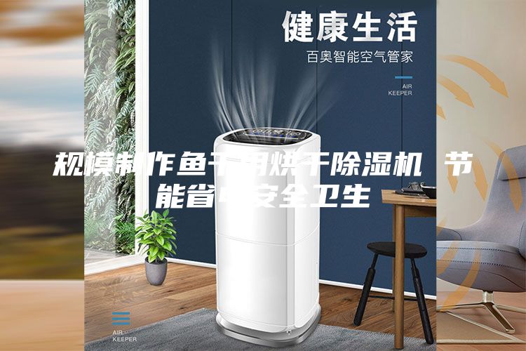 規(guī)模制作魚(yú)干用烘干除濕機(jī) 節(jié)能省電安全衛(wèi)生