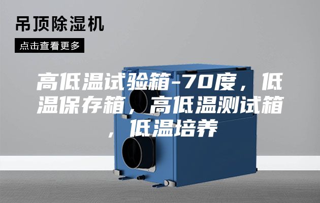 高低溫試驗箱-70度，低溫保存箱，高低溫測試箱，低溫培養