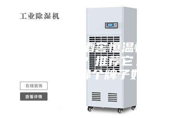 你知道進(jìn)口酒窖恒溫恒濕機(jī)的品牌嗎?推薦它。恒溫恒濕機(jī)哪個(gè)牌子好?